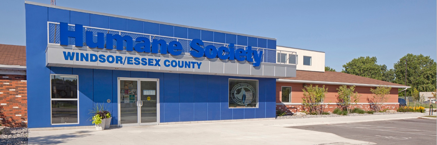 Windsor Humane banner