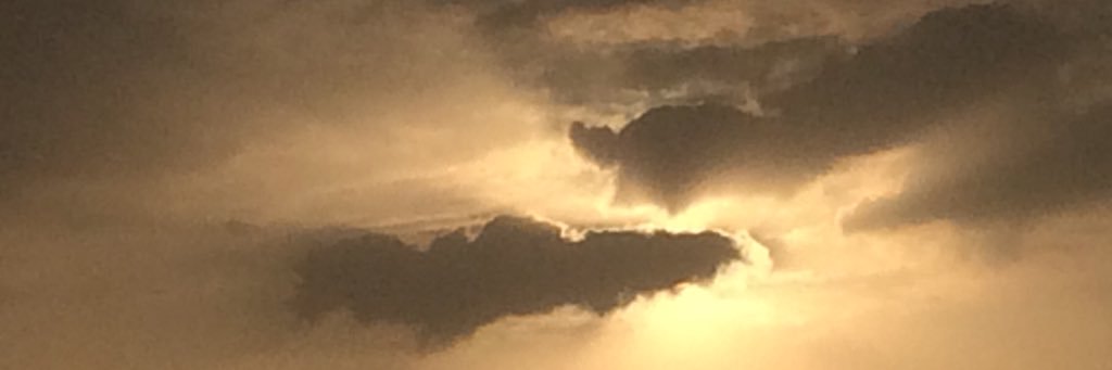 tq701's profile banner image
