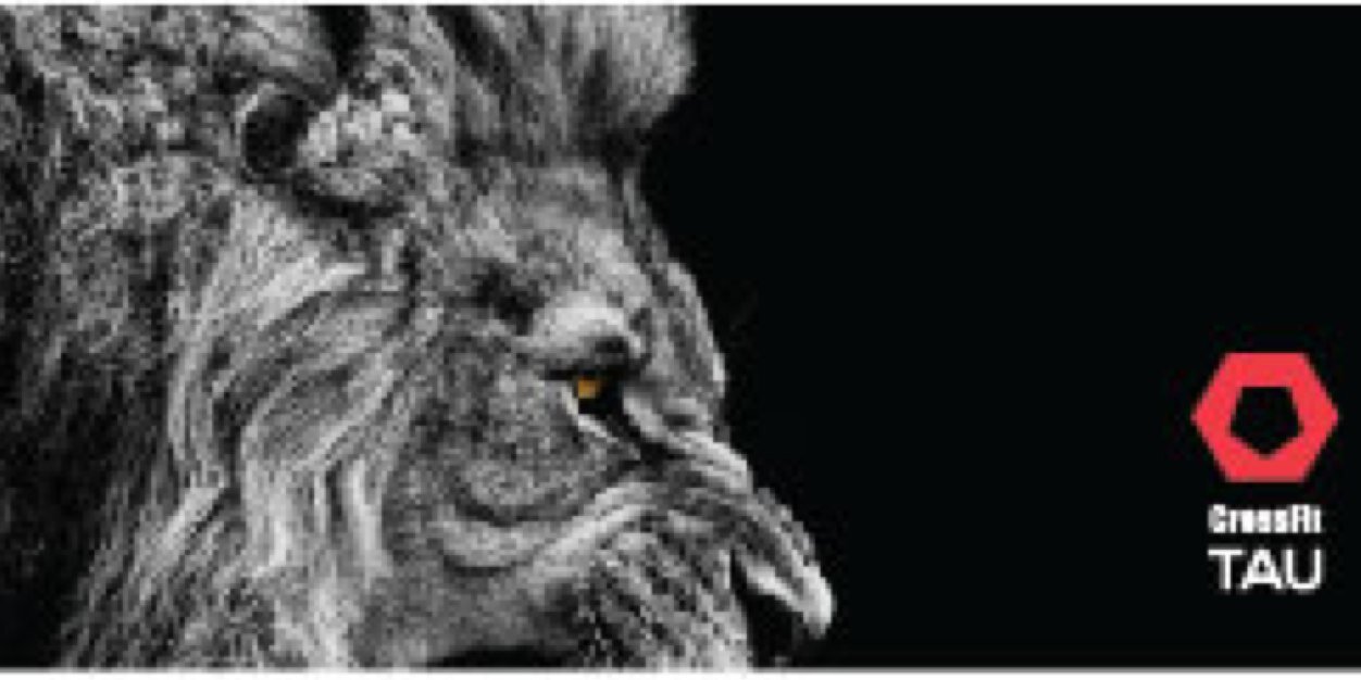 CrossfitTAU's profile banner image
