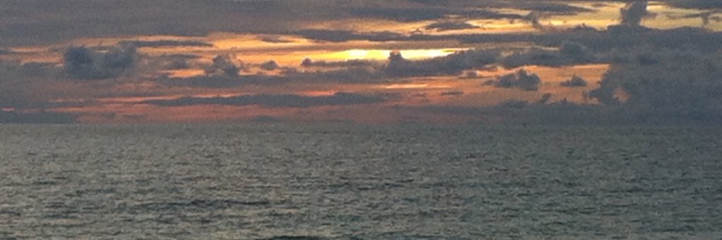 Wilson_Pegs's profile banner image