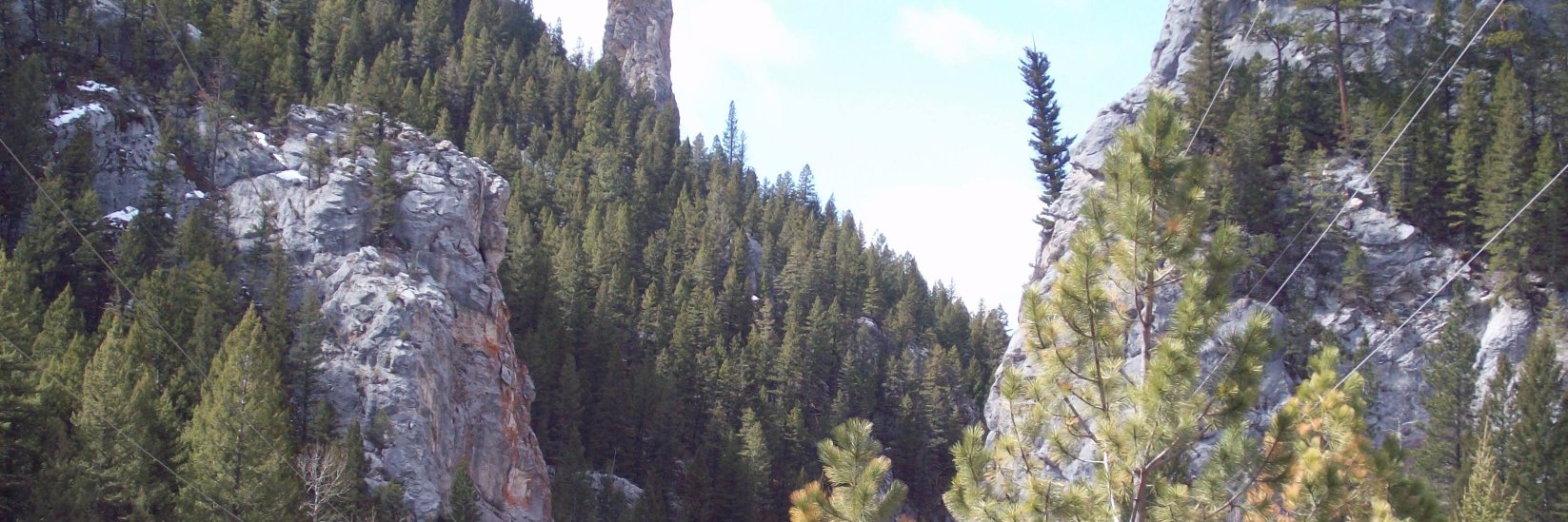 heimhopper's profile banner image
