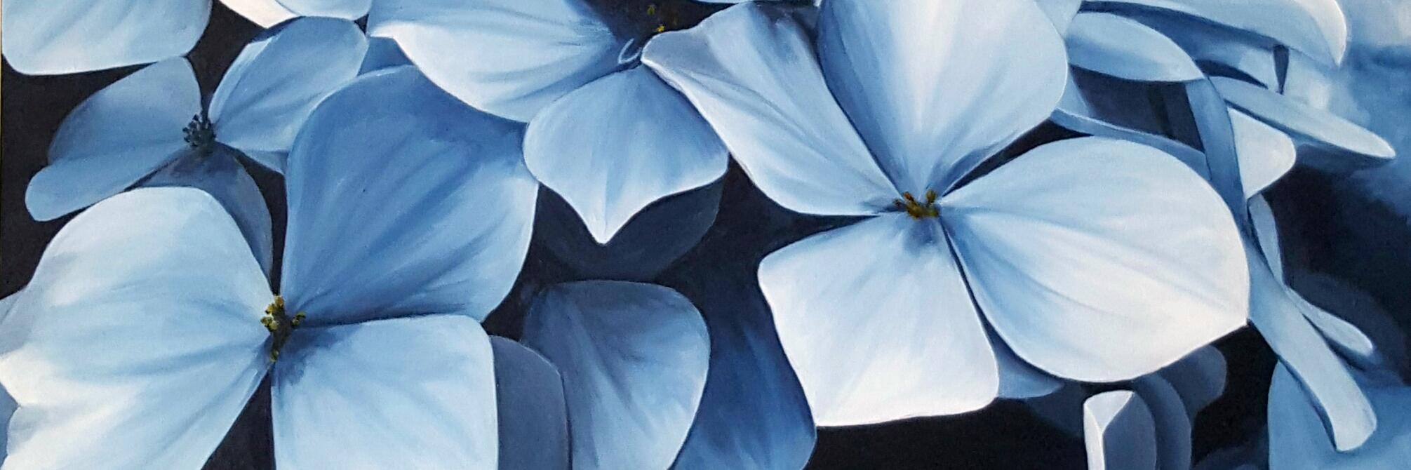 BLStonehouse's profile banner image
