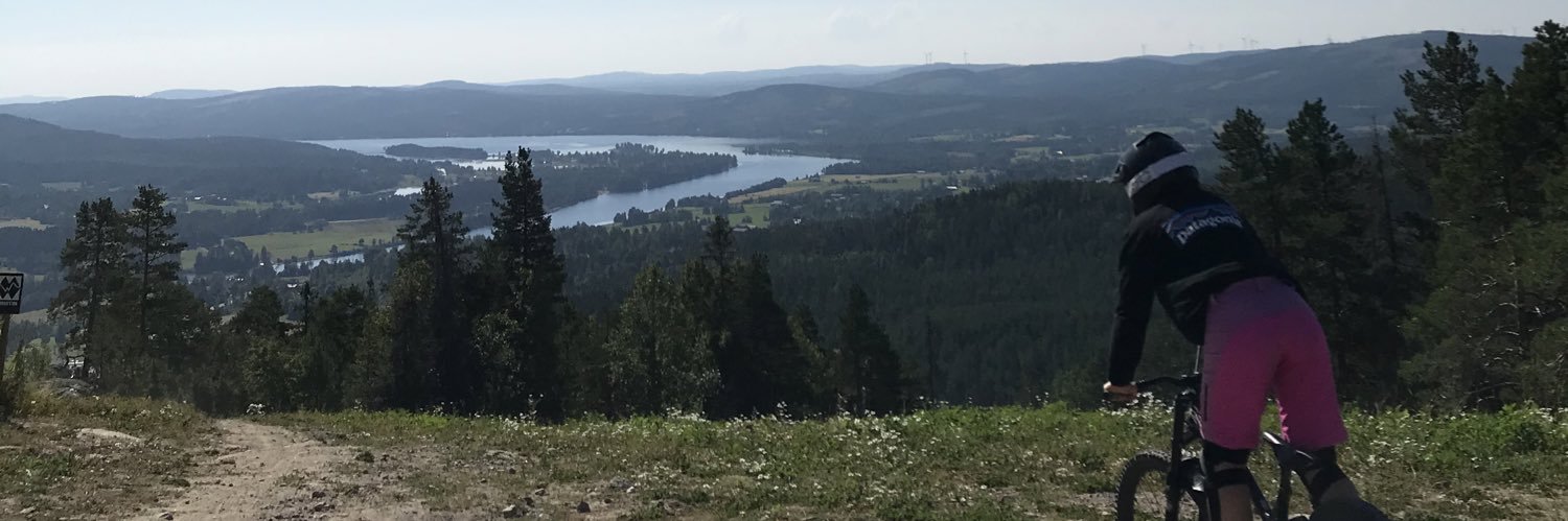 martanygaardh's profile banner image