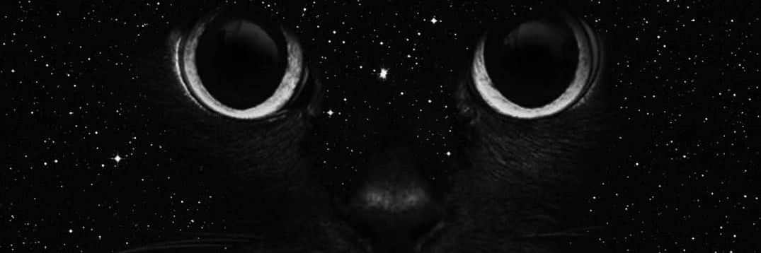 argesquiv's profile banner image