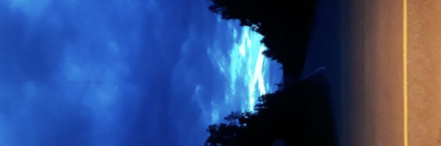 akstyna's profile banner image