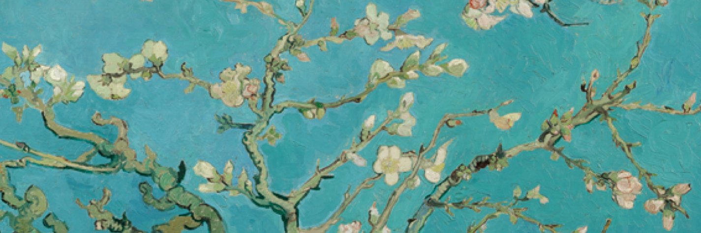 Tsuhonami's profile banner image