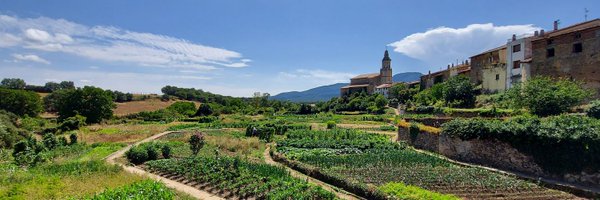 MikelAnua Profile Banner