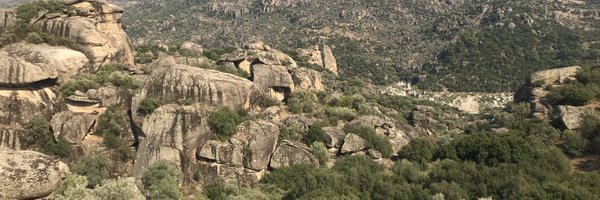 cavit_bircan Profile Banner