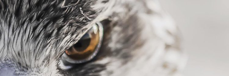 al_fawih's profile banner image