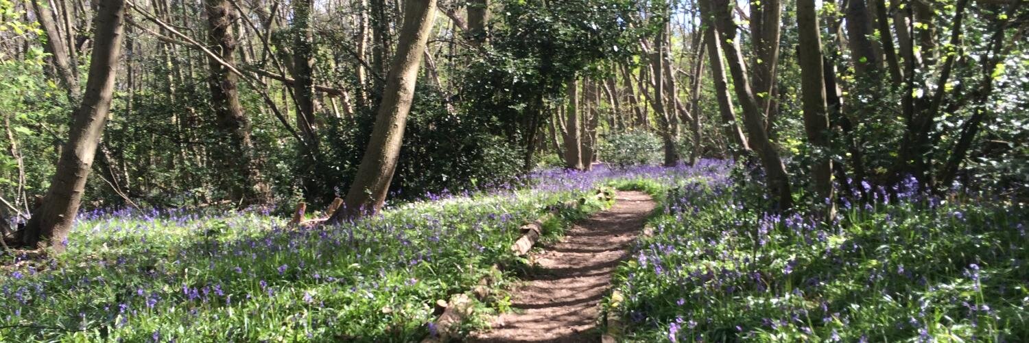 brendon knoetze banner