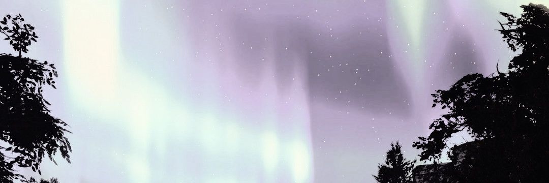 𝘁𝗵𝗲 𝘄𝗶𝘇𝗮𝗿𝗱 𝗼𝗳 𝘄𝗮𝘁𝗲𝗿𝗱𝗲𝗲𝗽. banner