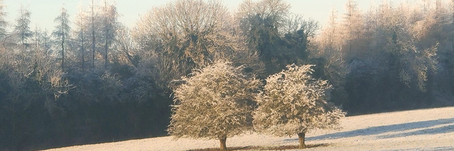 sharonfallon14's profile banner image