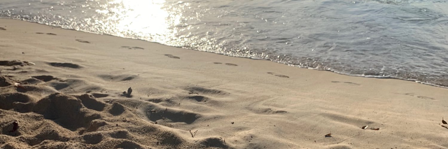 akaroxy2's profile banner image