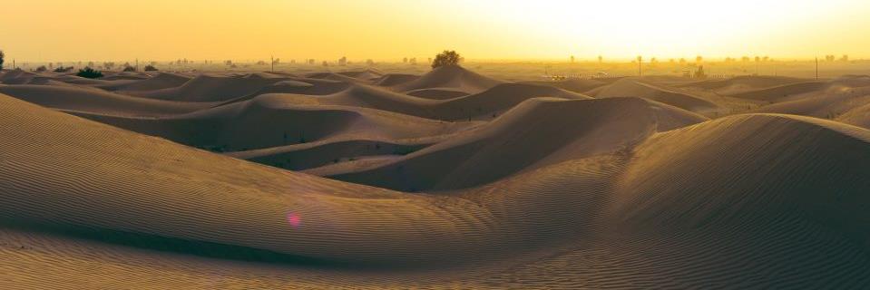 Dubaidandy's profile banner image