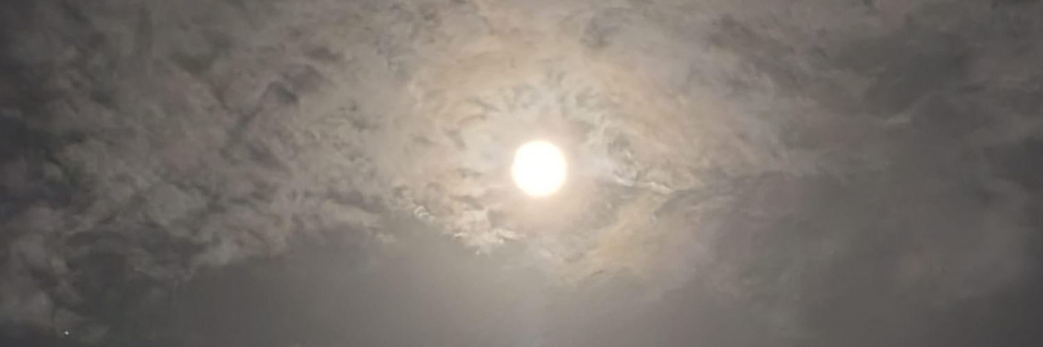 maryuryz3's profile banner image