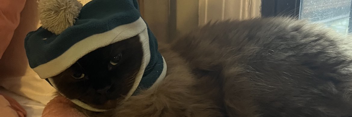 jessicethebeast's profile banner image