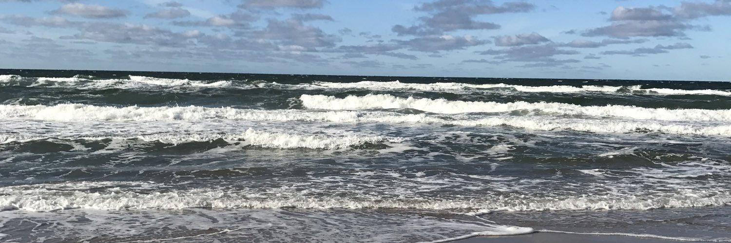 peerichsen's profile banner image