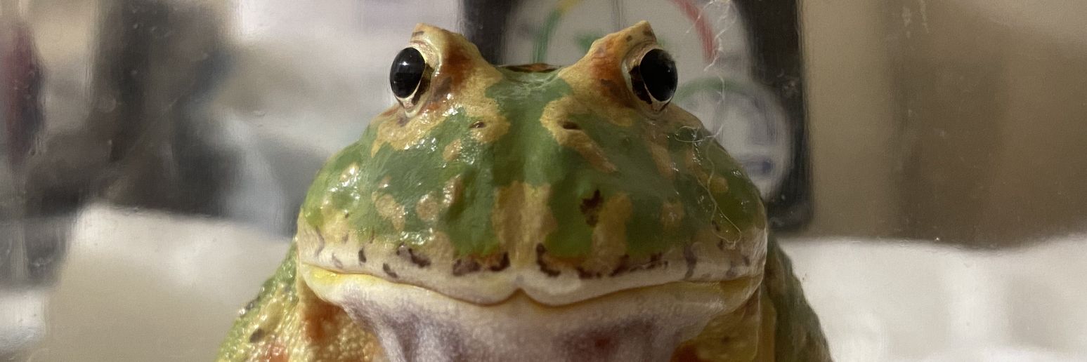 jjumpo's profile banner image