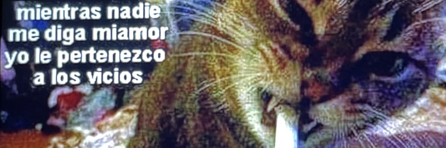 danielorbon's profile banner image