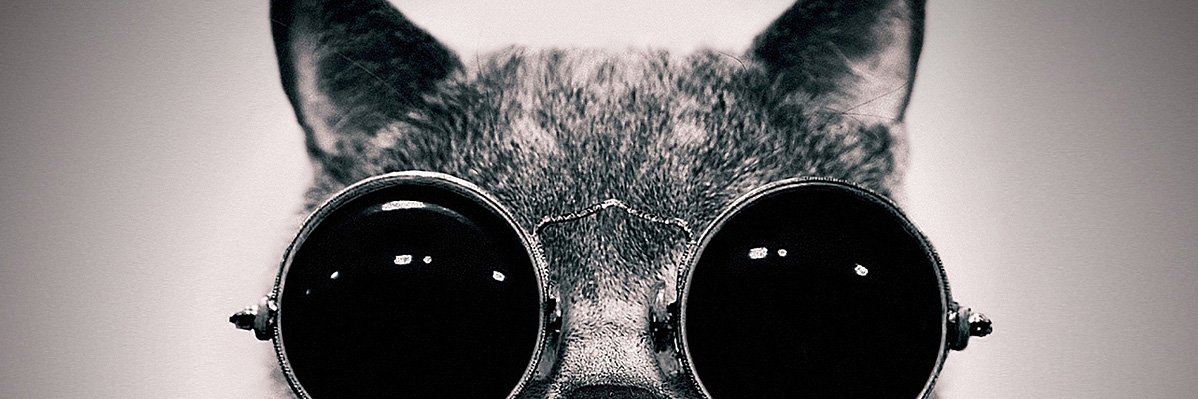 TomasikC's profile banner image