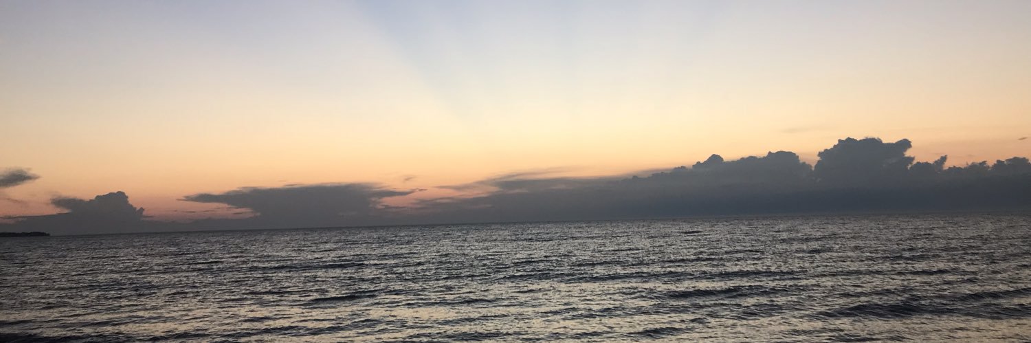Mimisibhat2's profile banner image
