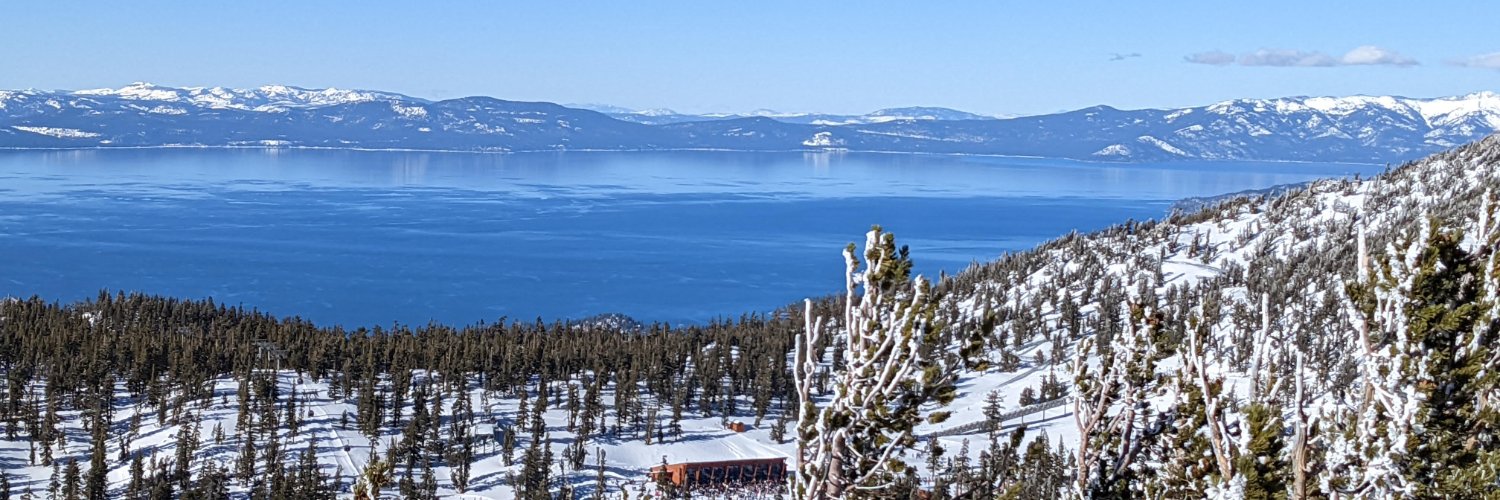 Zoran Dimitrijevic banner