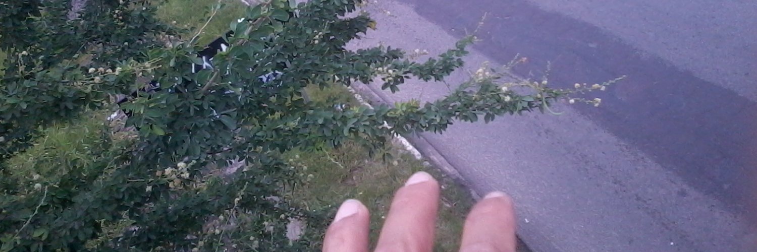 pseudokane3's profile banner image