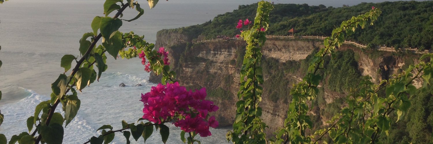 Sunshine Flint banner