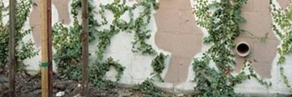 harrysgala's profile banner image