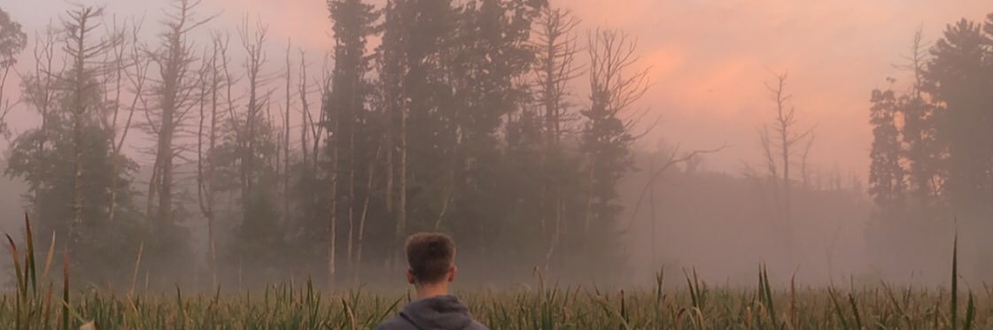 phoebesahlas's profile banner image