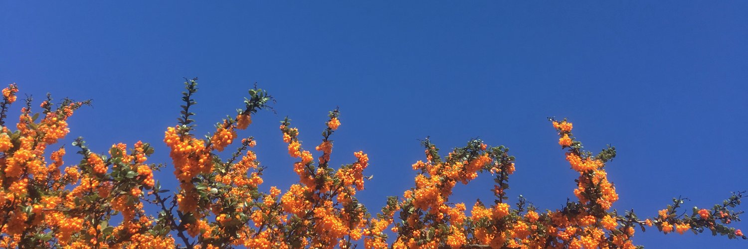 cathyhoste's profile banner image