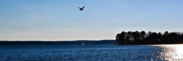 LakeCrazy™ 🇺🇸 ⚖️ 🎶 🩺 banner