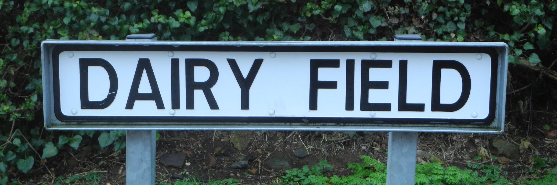 Paul Hart of 'Ultra-Processed People' Ch1 banner