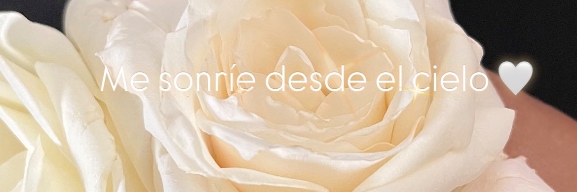 Eliana🌻🐝✨ banner