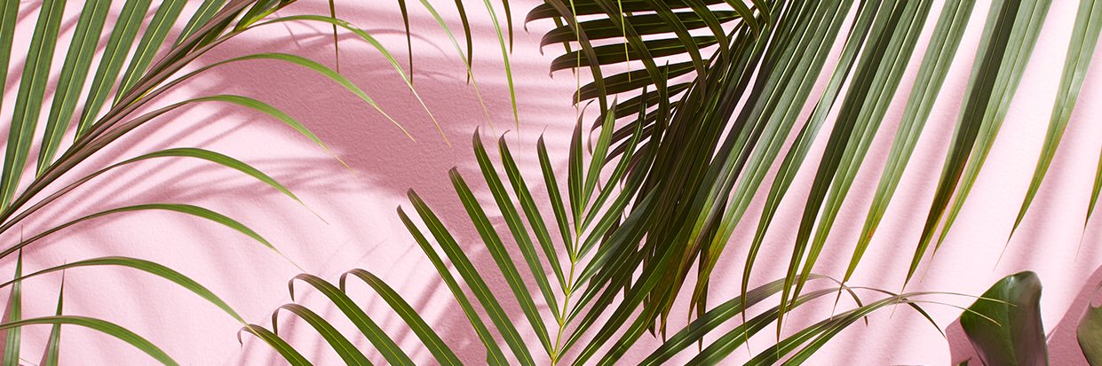 toriroper's profile banner image