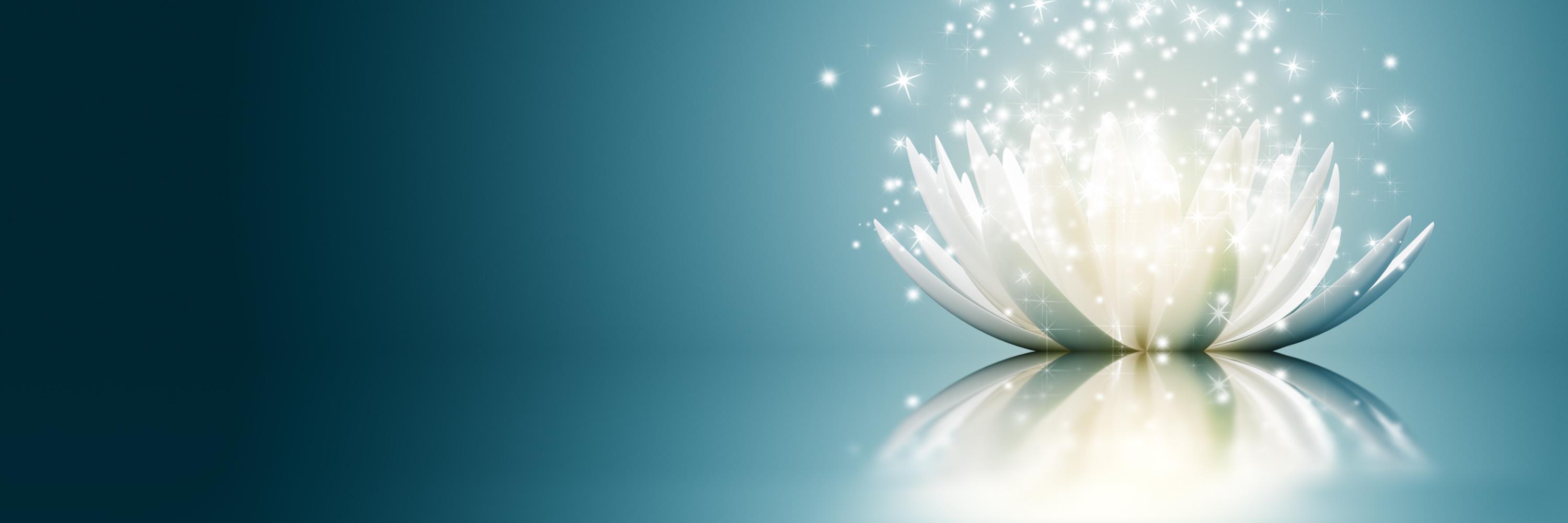 JosjeZ's profile banner image
