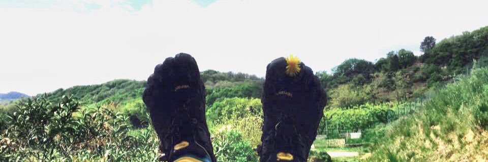 5doigts.fr banner