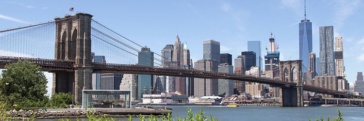 RedBloodedNYC's profile banner image