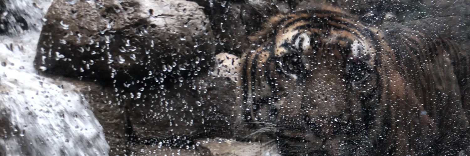 samanth119's profile banner image