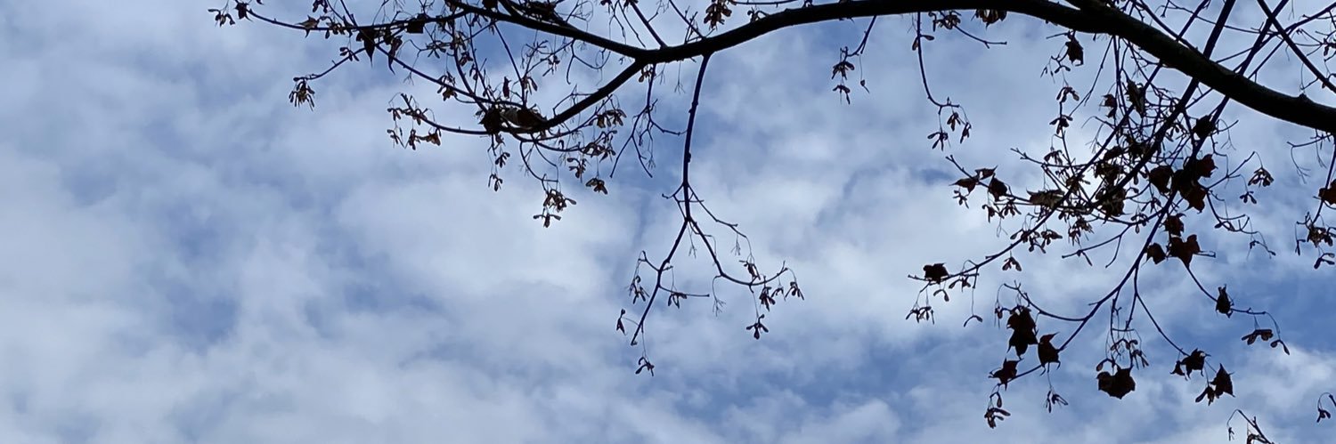 AmybvcSHuang's profile banner image