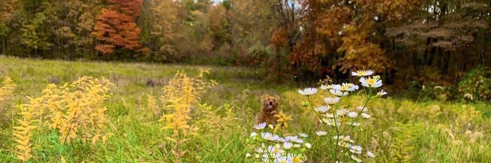 mckenzieeeyoung's profile banner image