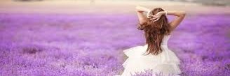 Lee banner