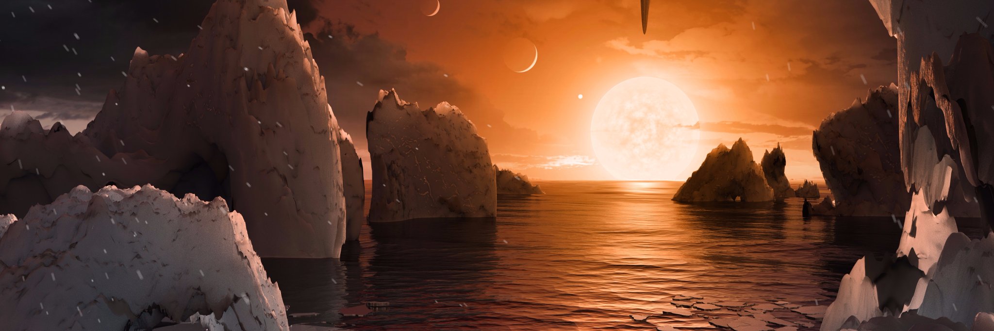 Tim Pyle banner