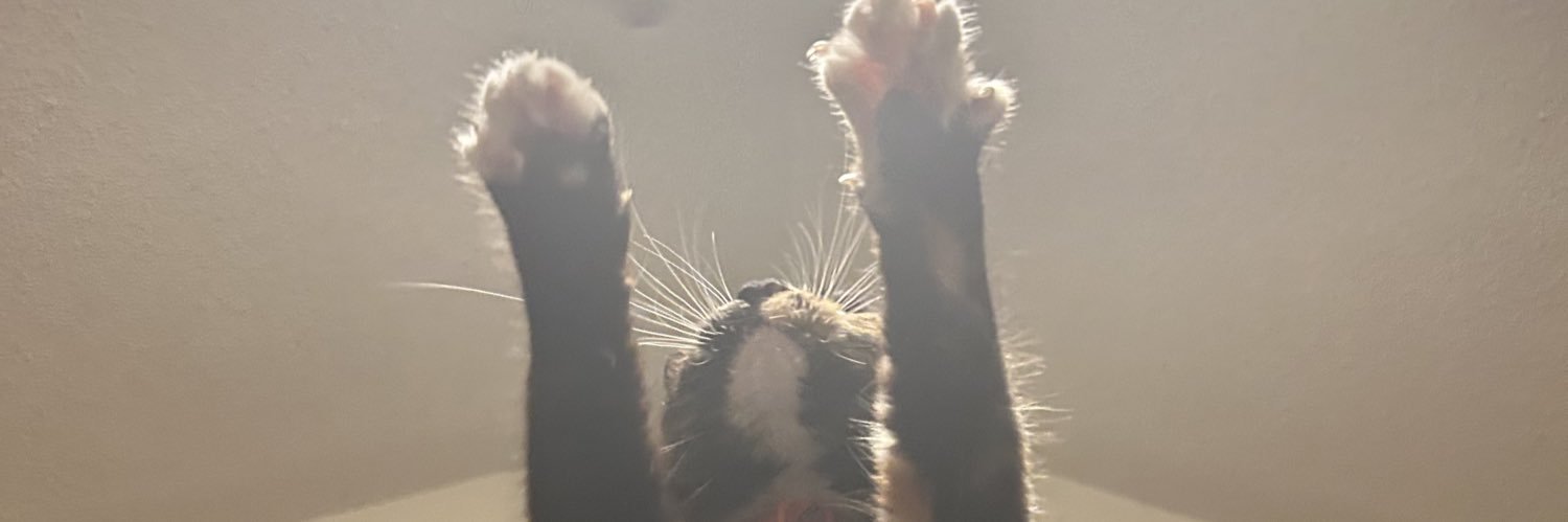 victxrious_'s profile banner image