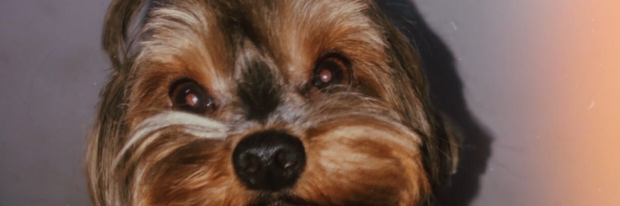 RodriguesWaan's profile banner image