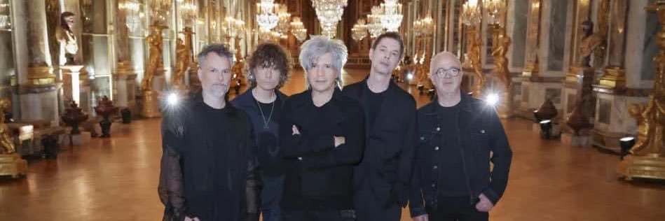 Sev Shm Sirkis banner