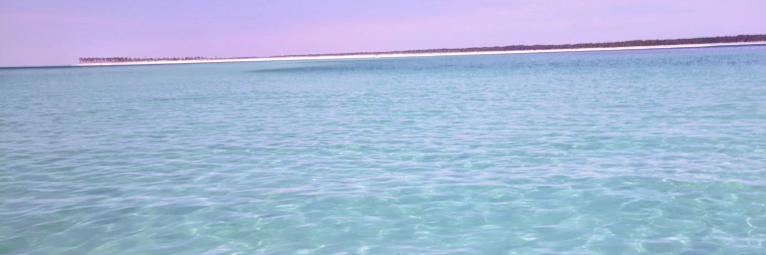 millertdah's profile banner image