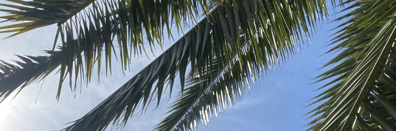 brvl_s's profile banner image