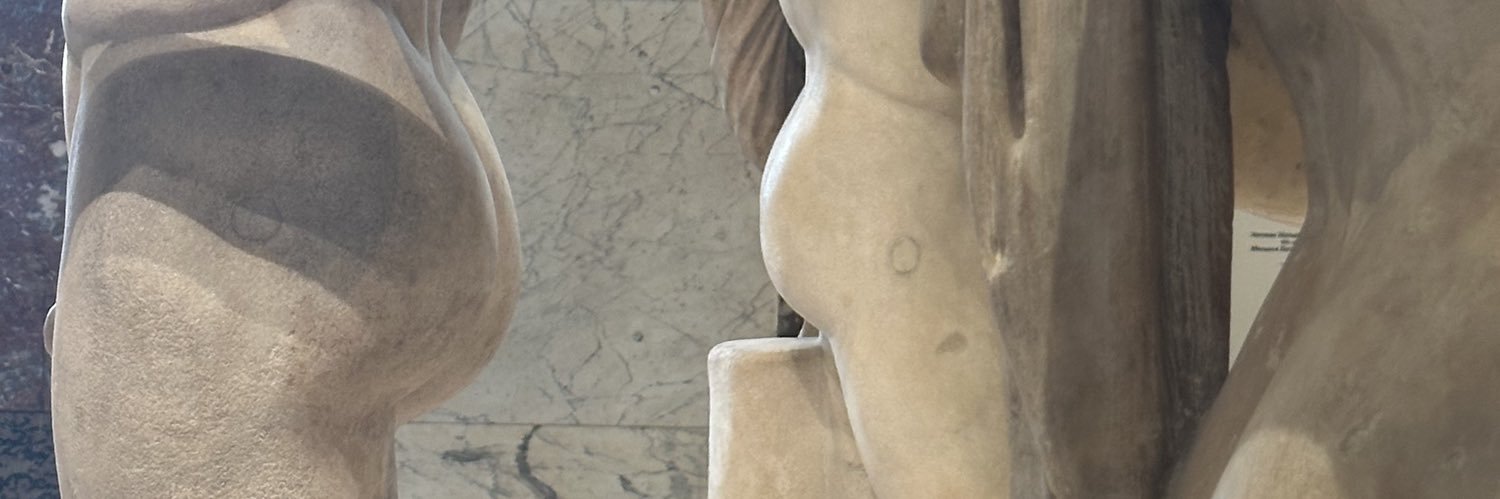 protein princess banner