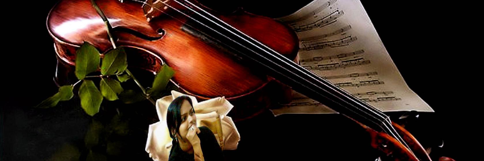 submazviolin's profile banner image